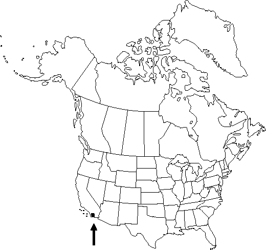 V3 81-distribution-map.gif