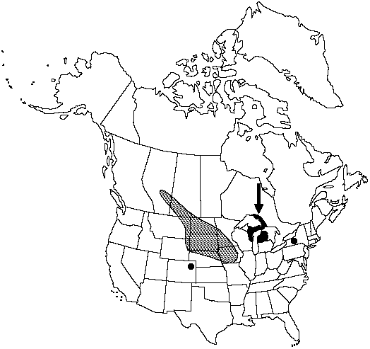 V2 295-distribution-map.gif