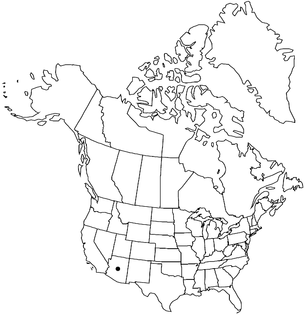 V28 190-distribution-map.gif