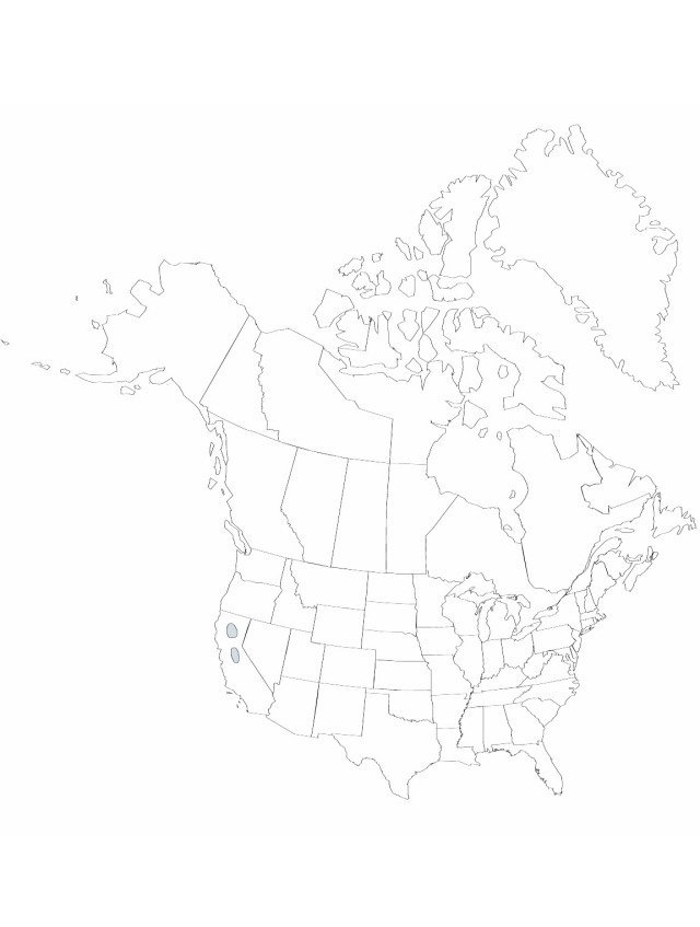 V22 586-distribution-map.jpg